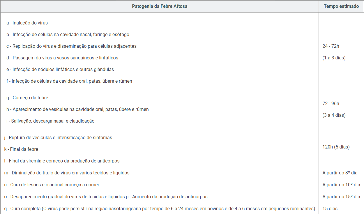 captura_de_tela_2022-02-01_153747.png