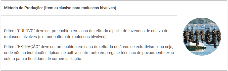captura_de_tela_2022-02-18_150958.png