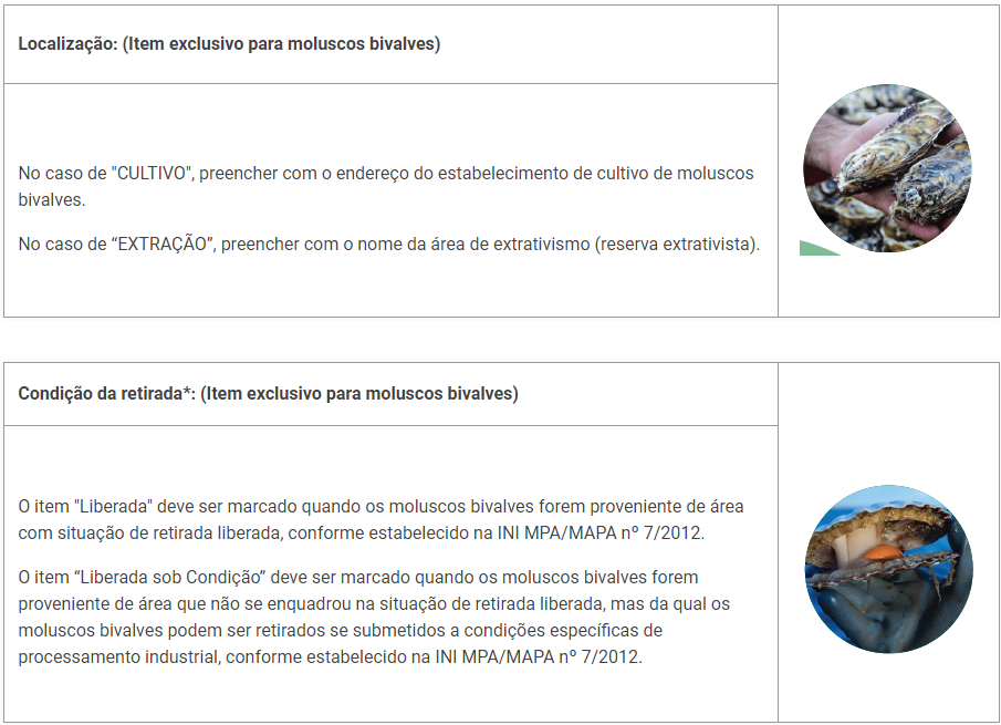 captura_de_tela_2022-02-18_151057.png