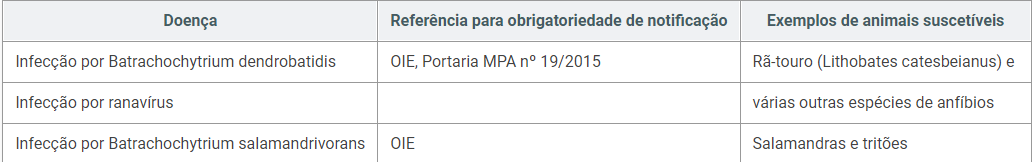 captura_de_tela_2022-02-18_161637.png