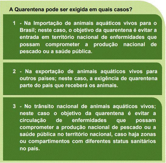 captura_de_tela_2022-03-02_163607.png